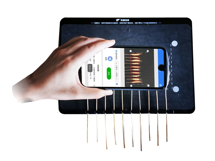 麥穗形態測量儀 TPMS-X-1