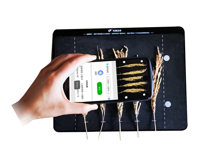 稻穗形態測量儀 TPDS-X-1