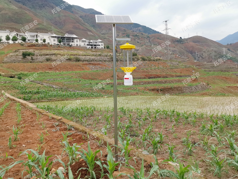 太陽能殺蟲燈TPSC3-1