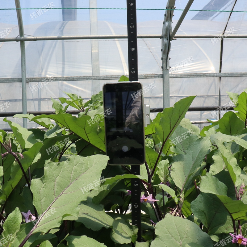 作物株高測量儀 TPDM-G-1