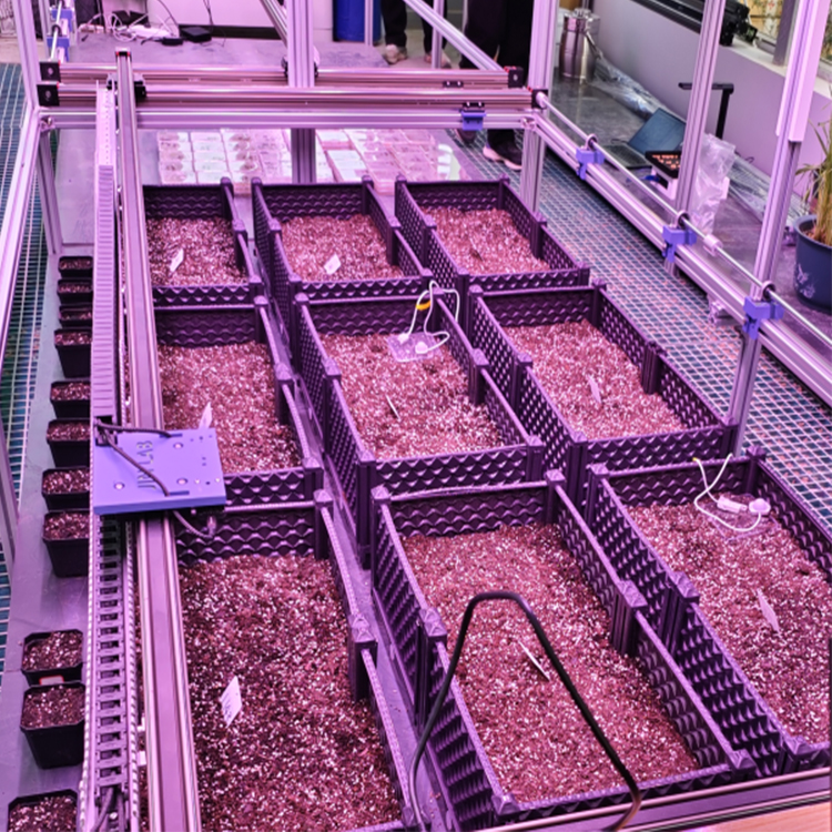 人工氣候室植物表型監測系統 TPN-PlantPhy