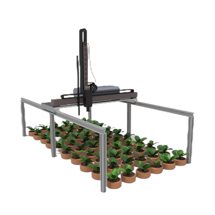 龍門式高通量表型采集分析平臺（立柱式）TPN-GTL-GT2